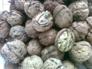ֱ2012ϴҹ8³