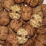 ˰Ұں㷢͹Ƥ