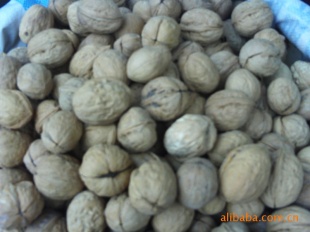 ½زʺƤʵİó