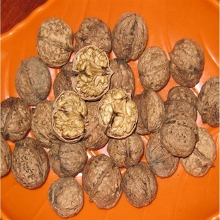 طزֽƤ