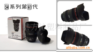 canonͷ24-105汭Ɑ
