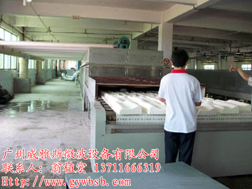 䴲豸