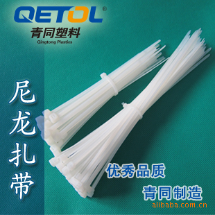 ͬRoHSߴNylonCableTies