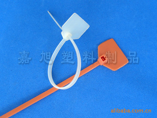 塑料封条封条捆扎带标牌封条印字封条BF-001