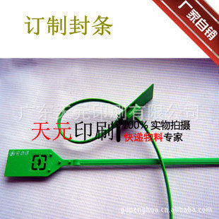 安全封条钢丝封条,性集装箱封条,天元印刷