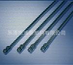 ݲ̩10*600mm