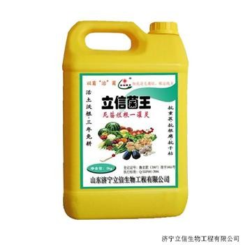 財øøһ,