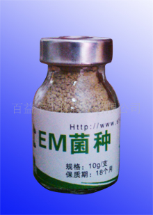 汦EMֳ