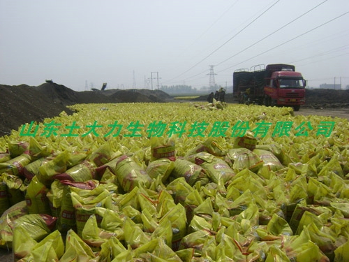 2013лԭϲƷȫ