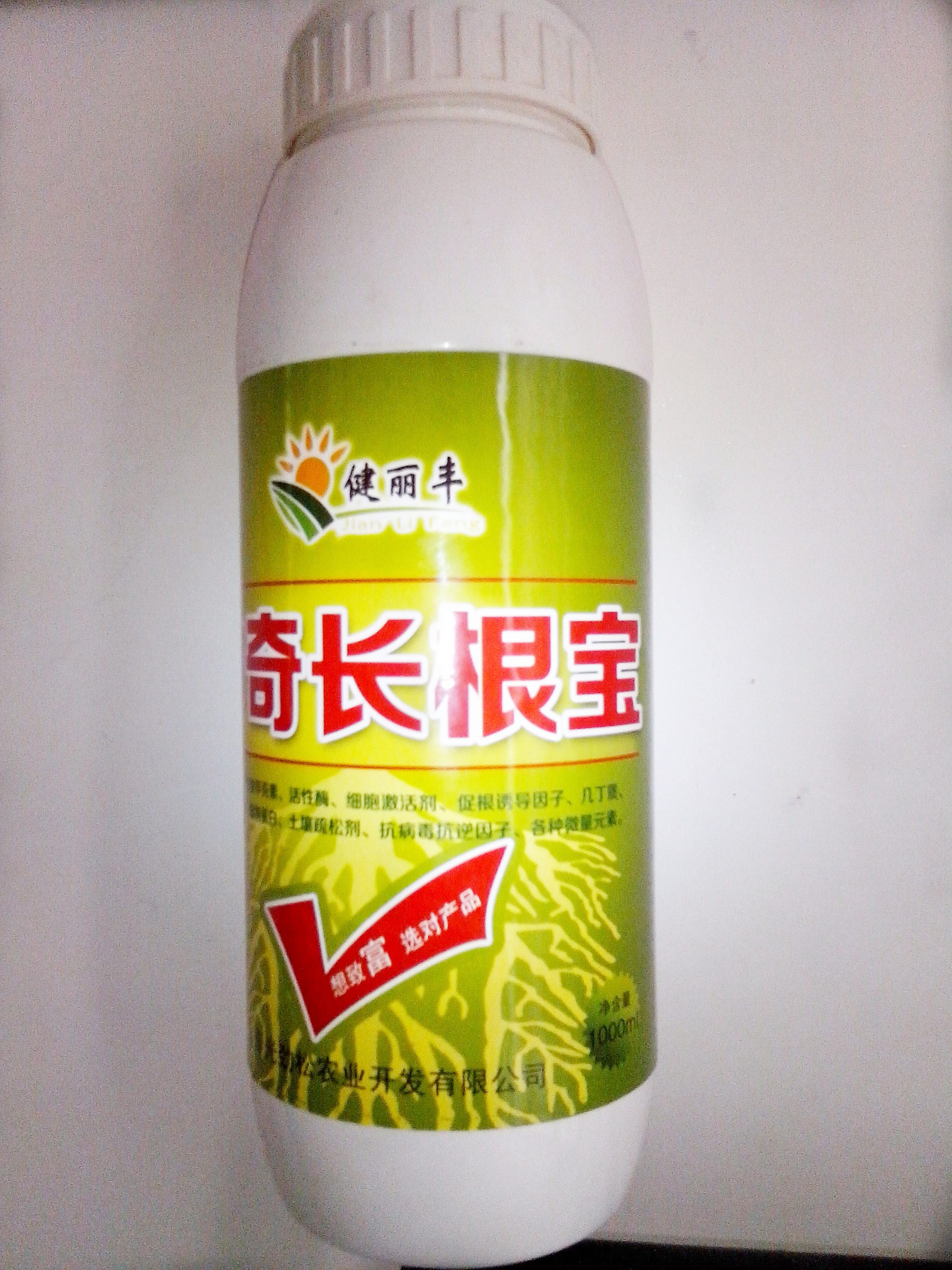 泤