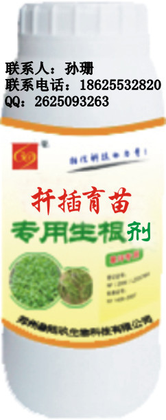 Ǥ|ǿ