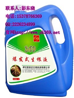 发式生根液(快速生根液)369生根液厂家
