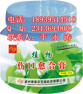 369ֲ˿ϼľ˿ͿĨ