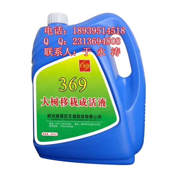 ݴӪҺЧӪҺ369