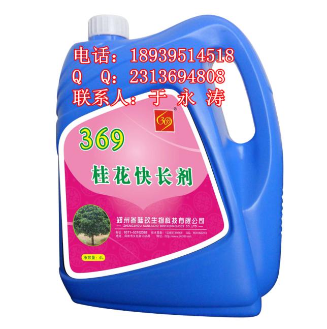 𻨿쳤𻨿쳤369