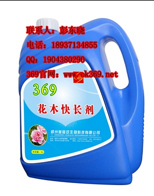 ľ쳤,ֲ쳤ӪҺ369