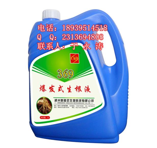 ǴҺǿҺ369