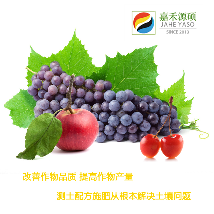 ䷽ʩʳ𡪡κԴ˶