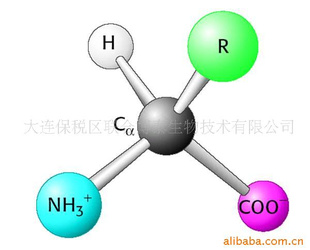 L-,L-Ornithine