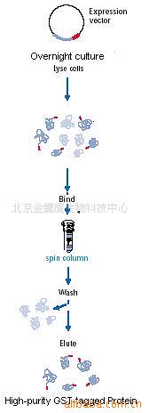 GSTںϵ״Լ