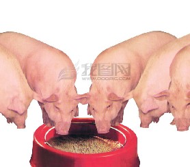 ֲøڼݺ