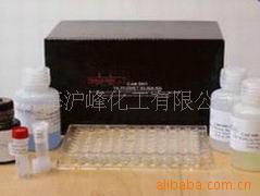 Toll9(TLR-9/CD289)