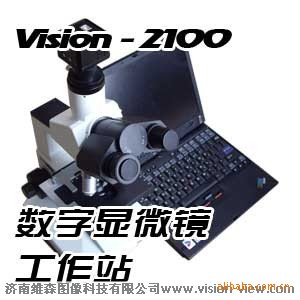 άɭVISION2100΢۲ر