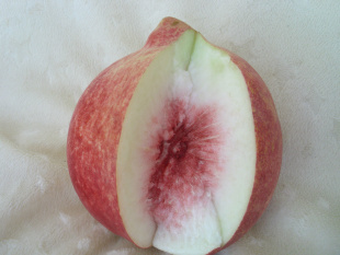 ѩ˼ҳ֮Ӫʵ