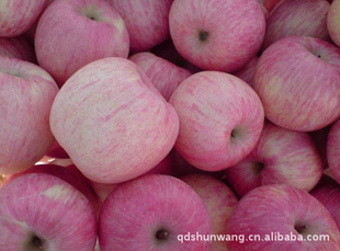 츻ʿƻƷ