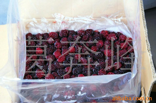 2012Ʒٶݮ