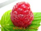 ¡ʺݮӣfreshraspberry