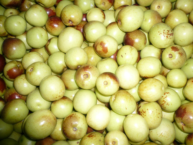 նӱݻزʶ(500g)ֱ