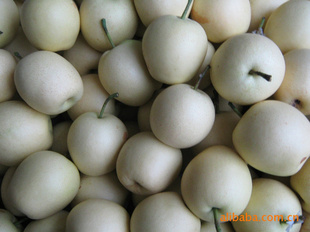 ڼһʹ漴ƻɿ