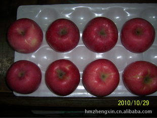 2011¼عƻ