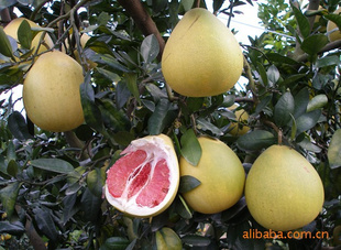 ˮ1gg432423rrererewe