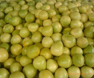 ӬgϪHONEYPOMELO