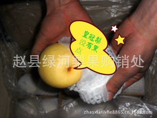 ³ʽʼʹ桢Ѽ桢ѩ桢101