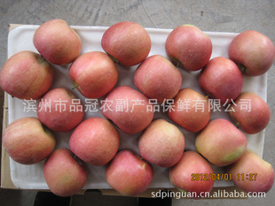 新鲜富士大量销售