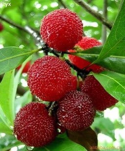 ÷[]