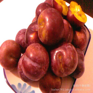 üɽزˬڵĴ/Ƥ//Ѻ/ٽ