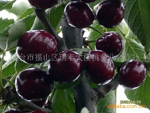 ӣң飬磬˹(ͼ)