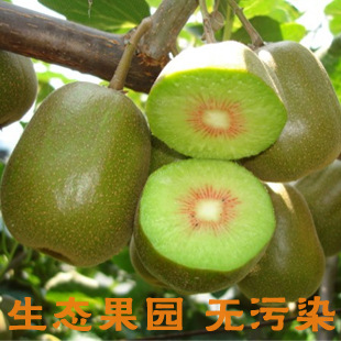 Ĵ⨺ԴԲϪˮ