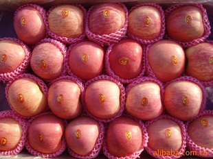 ڼ츻ʿƻ