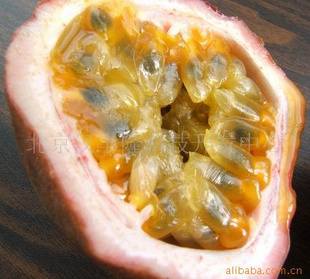 顢passionfruit