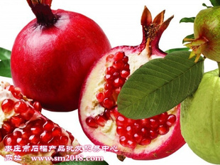 ʯ