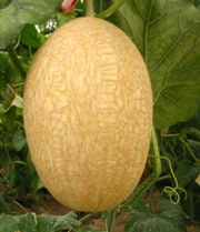 8Ϸܹ