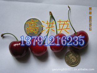 ӣңӣң۸13791216235