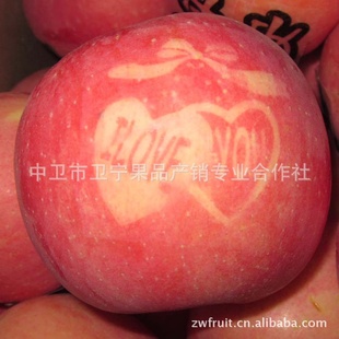 Ʒƻлƻ츻ʿˮĴƷ