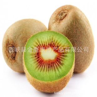 ֱ⨺ʹvcˮ֮ں⨺ʹ