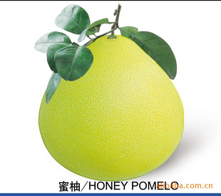 pomel4o